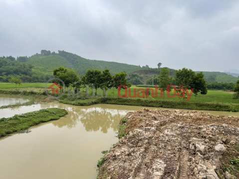 BEAUTIFUL LAND - OFFER PRICE - Urgent Sale Beautiful Land Lot in Luong Son, Hoa Binh _0