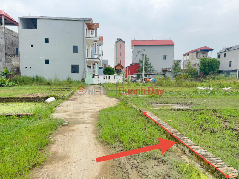 Bán đất tổ 9, Quang Minh, Mê Linh, HN. Lô đất nhỏ nhắn, tài chính công nhân, sinh viên, Việt Nam | Bán đ 1,95 tỷ