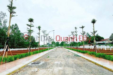 ONLY 18 LAND LOTS LEFT AT F0 PRICE IN PHU NINH - VALLEY PROJECT AREA - RED BOOK FOR EACH LOT - PROFITABLE INVESTMENT _0