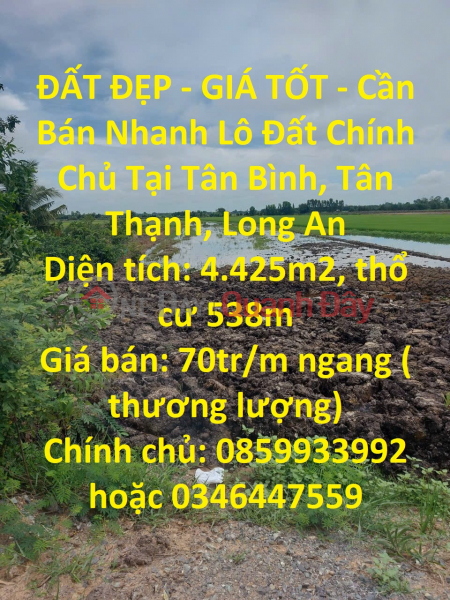 ĐẤT ĐẸP - GIÁ TỐT - Cần Bán Nhanh Lô Đất Chính Chủ Tại Tân Thạnh, Long An Niêm yết bán