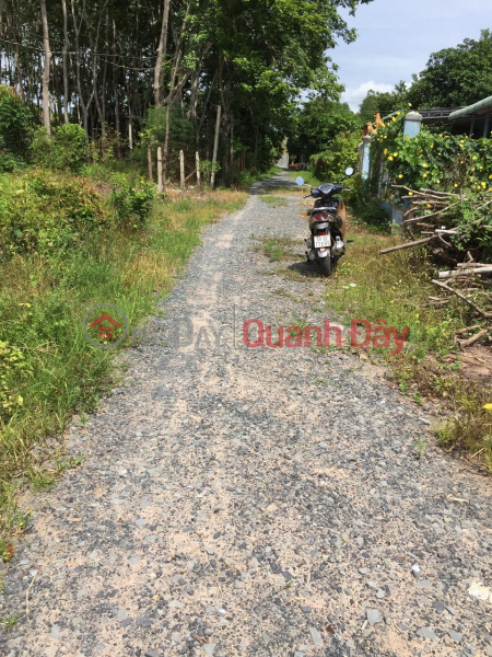 OWNER Needs to Sell Land Lot in Chanh Hamlet, Hiep Thanh Commune, Go Dau District, Tay Ninh Province. Sales Listings