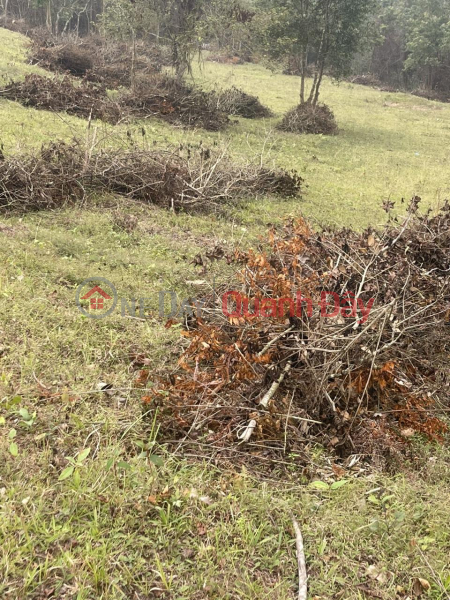 đ 8.8 Billion BEAUTIFUL LAND - GOOD PRICE - For Quick Sale Land Lot Prime Location In Phong Minh, Luc Ngan, Bac Giang Province,