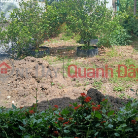 Cho thuê đất, mặt bằng dài hạn tại phường Khánh Hậu, Tây Ninh _0