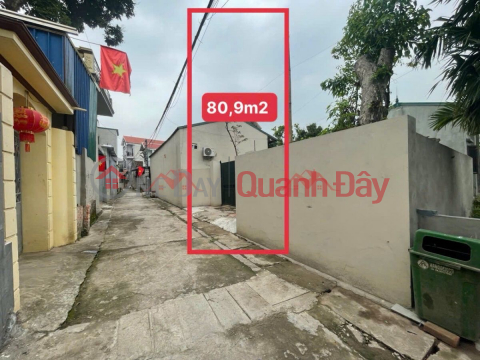 OWNER SELLS 2 LOT OF LAND 81.7M AND 80.9M IN THUY HUONG-CHUONG MY-HANOI _0