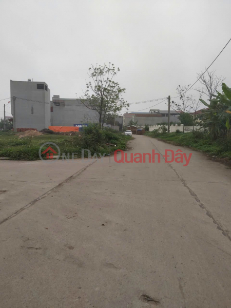 Property Search Vietnam | OneDay | Residential Sales Listings OWNER NEEDS TO QUICKLY SELL SERVICE LAND LOT WITH 2 STREET FRONTS Tan Ngoc Ba Hien, Binh Xuyen, Vinh Phuc