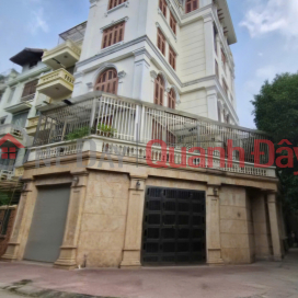 Tôi cho thuê nhà, Trần Nhân Tông, Mai Hắc Đế, HBT; 92m2* 5T -30 tr _0