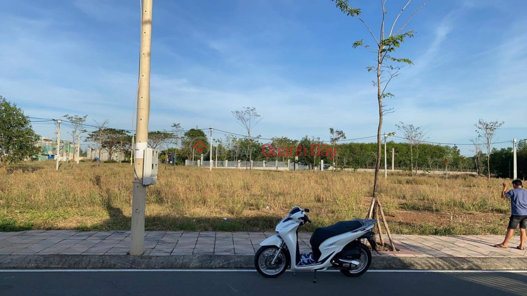 Beautiful Land - Good Price - Owner Needs to Sell Land Lot, Nice Location in Tien Hung Commune, Mango Field, Binh Phuoc Sales Listings