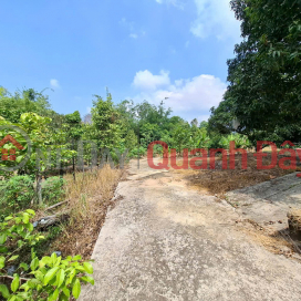 Urgent sale of garden land in Tuong area, Phu Quoc, suitable for homestay, farmstay or eco-resort. _0
