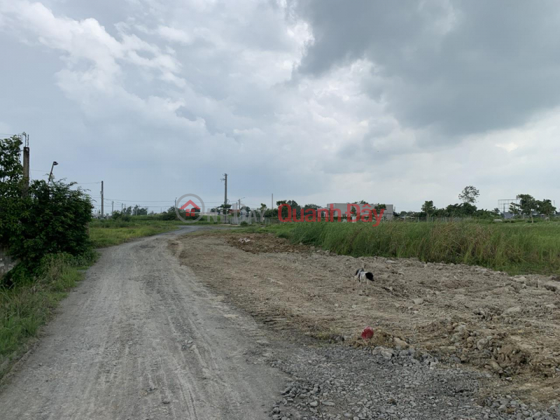 OWNER LAND - GOOD PRICE - For Quick Sale 2 Lots of Land Adjacent to Phi Truong Residential Area, Tan Lan, Can Duoc, Long An Sales Listings