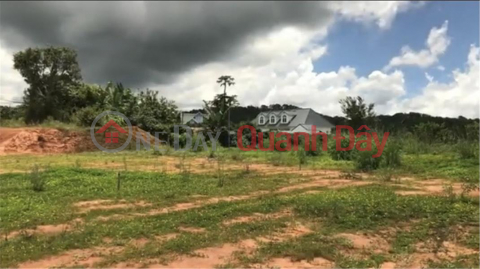 BEAUTIFUL LAND - GOOD PRICE - Owner For Sale Or Rent A Land Lot Prime Location In Da Lat City, Lam Dong _0