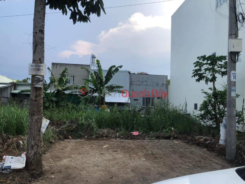 PRIMARY LAND FOR OWNERS - Land Lots For Sale In Hung Thanh Ward, Cai Rang District, Can Tho Sales Listings