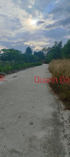 Selling urgently, the owner has a lot of debt, 573m2 of land near Phu Chanh market, Tan Uyen, price 2.2 billion Sales Listings
