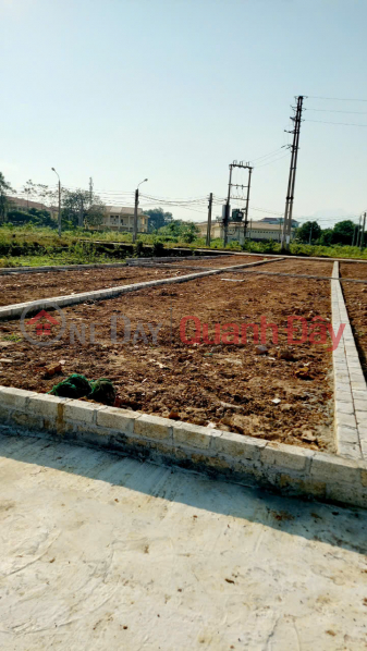 Residential land for sale, area 91.9m2 Hoa Lac, Binh Yen, Thach That, Hanoi Sales Listings