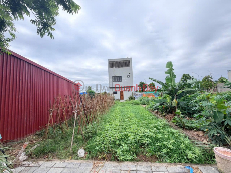 OWNER SELLING RESIDENTIAL LAND IN X7 AUCTION AREA, LO KHE, AT THE LOWEST PRICE IN THE AREA. Sales Listings