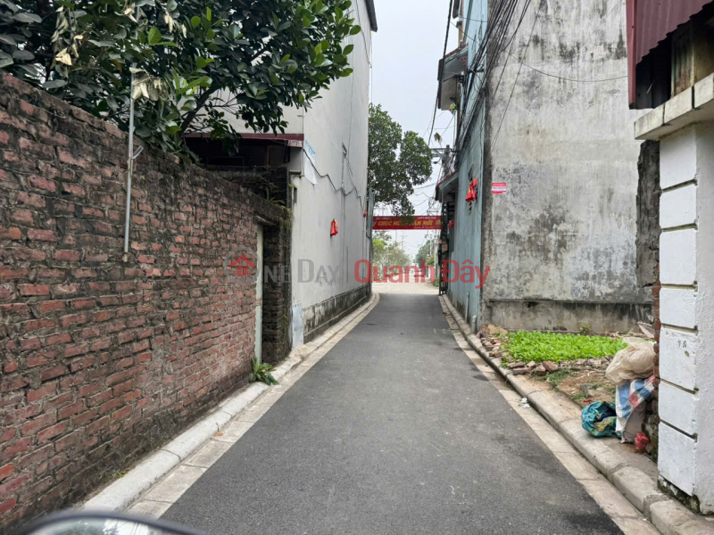 Đất vàng Mê Linh – giáp KCN Quang Minh – 3 mặt thoáng – tiềm năng tăng giá cực mạnh Niêm yết bán