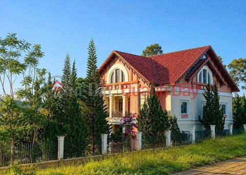 Villa with garden for rent, 1000m2, Nguyen Huu Canh street, 12 bedrooms, price 48 million VND in Da Lat. _0