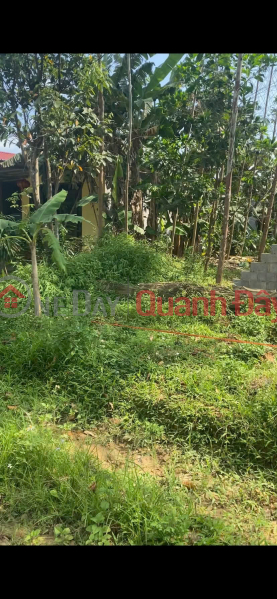 Property Search Vietnam | OneDay | Residential | Sales Listings Owner selling land in Cay Thi, Nam Hoa, Thai Nguyen - 710m2 - 15.5m frontage - Can be divided into 3 plots, only 1.x billion VND.