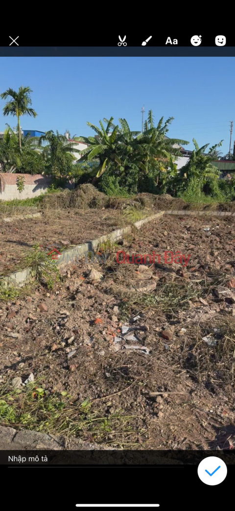 Đất gần KCN Đồ Sơn – vị trí vàng cho thuê hoặc đầu tư, giá chỉ hơn 1.x tỷ! ZALO 0567 222 555 _0