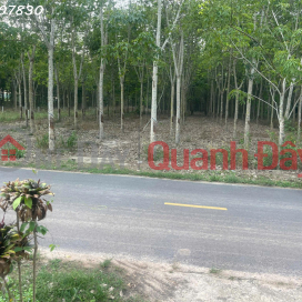 Bán đất tại đường Lò Rèn, Long Hòa, 4 tỷ, 880 m2, giá tốt, view đẹp _0