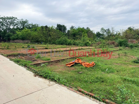 Dung Land is selling beautiful land plots in Thang Huu, Kim Anh, Hanoi - Many options starting from just over 2 billion VND. _0