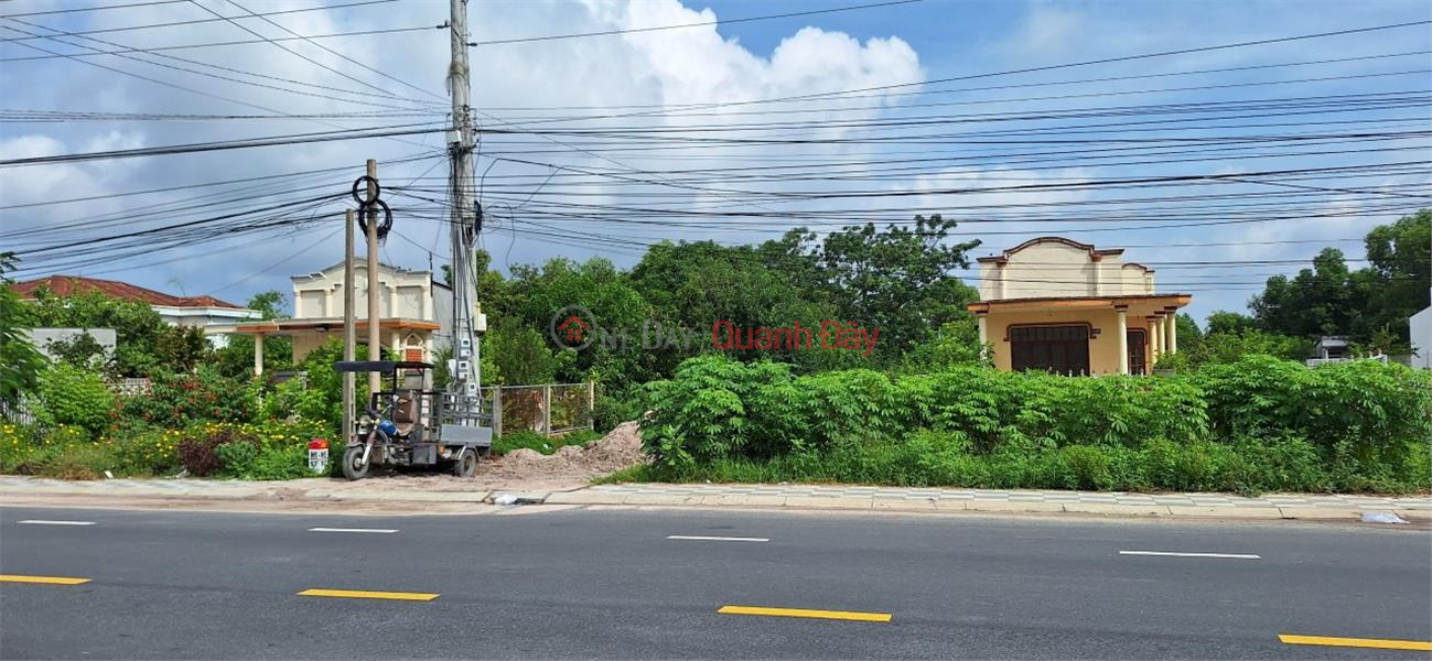 Property Search Vietnam | OneDay | Nhà ở | Niêm yết bán, CHÍNH CHỦ CẦN BÁN NHANH LÔ ĐẤT VỊ TRÍ ĐẮC ĐỊA Mặt Tiền Đường Nguyễn Chí Thanh, Xã Tân Bình