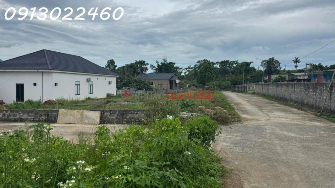 TRANSFER OF LAND PLOT OF 227M2 IN TU PHU COMMUNE, THANH THUY DISTRICT, PHU THO PROVINCE Sales Listings
