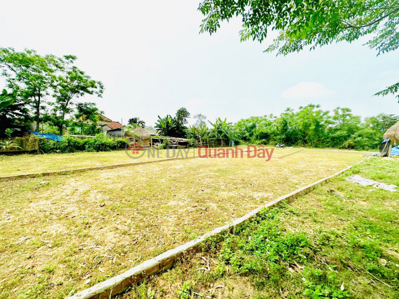 Property Search Vietnam | OneDay | Niêm yết bán | Chính chủ cần bán lô đất giáp Đà Nẵng , gần DT 605 giá 5xx
