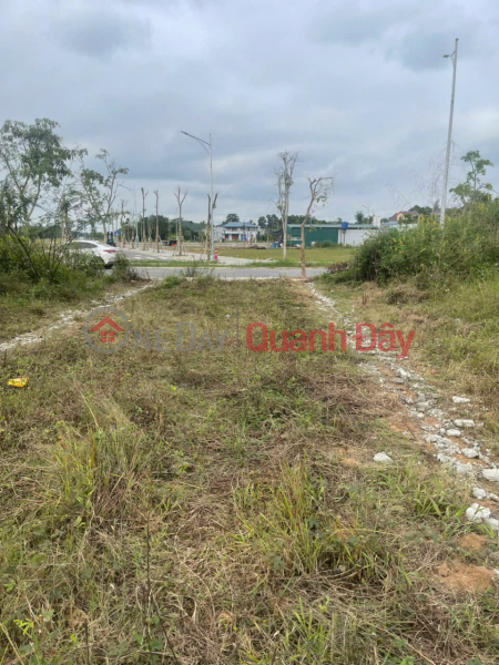 Land for sale in Cau Truc residential area 105m2 - Opposite the park - Prime location - High potential for price increase | Vietnam, Sales | đ 1.68 Billion