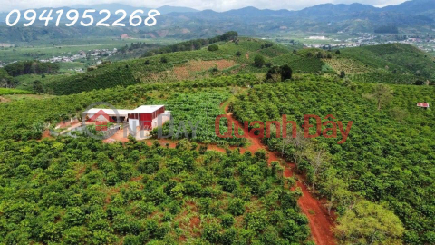 The owner needs to sell a rare land lot with nice view in Da Don, Lam Ha, Lam Dong communes, suitable for a resort _0