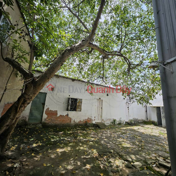 Rare item, Land for sale in Binh Trung Dong, District 2, 12m road frontage, 1040m2, full residential land, price only 59 billion 900 TL | Vietnam | Sales | đ 59.9 Billion