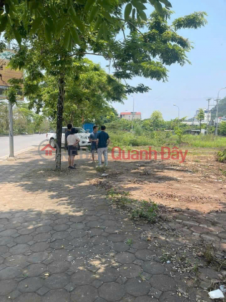 Property Search Vietnam | OneDay | Residential Sales Listings Land for sale at auction Dg08 tourist belt Chua Thay - Sai Son - Quoc Oai