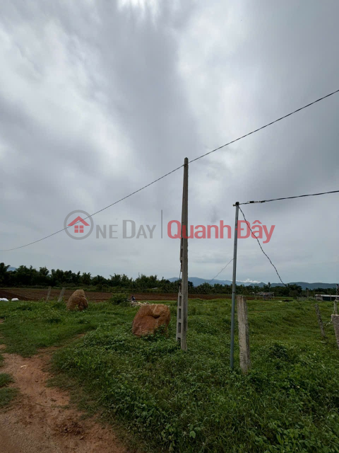 HOT HOT –CẦN BÁN NHANH 2 LÔ ĐẤT GIÁ TỐT – Khu phố 6, thị trấn Tân Sơn, Ninh Thuận. _0
