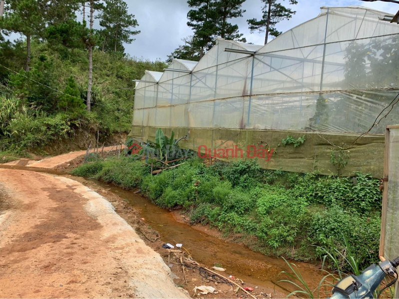 đ 10 Billion BEAUTIFUL LAND - GOOD PRICE - Land Lot For Sale In MangLin, Ward 7, Da Lat City, Lam Dong