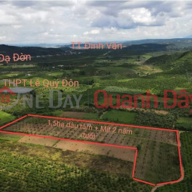 BEAUTIFUL LAND - GOOD PRICE - Own the Land Lot Prime Location In Da Don Commune, Lam Ha District, Lam Dong _0