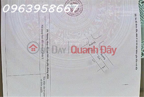 A prime corner plot of land with a 21-meter frontage in Tong Phan, Phu Cu, Hung Yen. _0