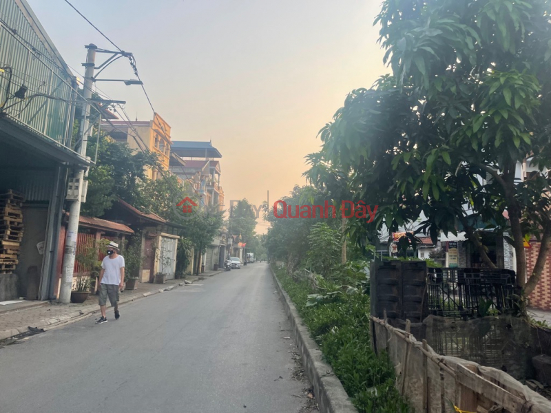 Property Search Vietnam | OneDay | Residential Sales Listings | House for sale on Hang Xoai street, Ha Huy Tap, Yen Vien, car business avoid near school and market, 58m, 6 billion