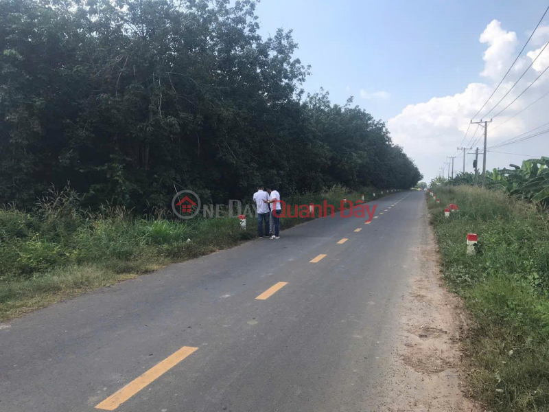 đ 29 Billion, BEAUTIFUL LAND - GOOD PRICE Need to Sell Quickly Beautiful Frontage Land Lot in Tan Chau District, Tay Ninh Province.