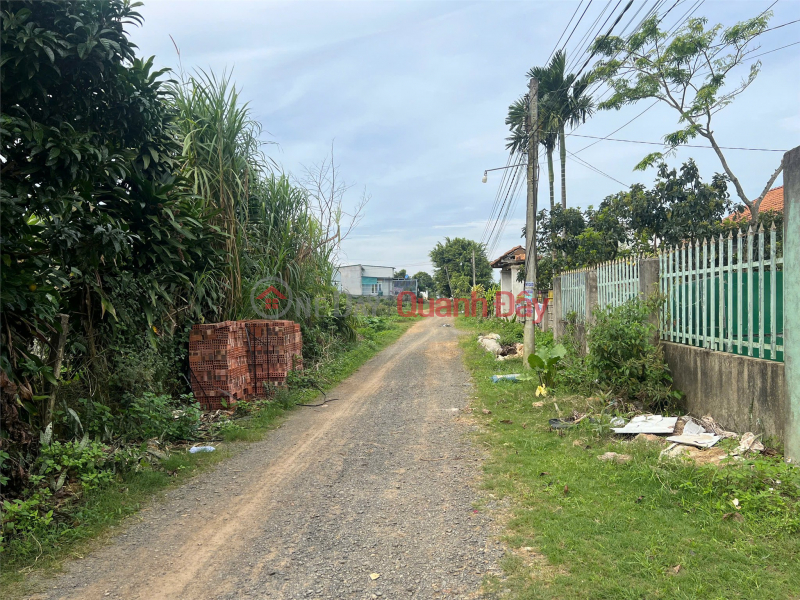 Property Search Vietnam | OneDay | Residential Sales Listings, OWNER'S LAND - NEED TO SELL LOT OF LAND BEHIND Hoa Ninh Market, Di Linh, Lam Dong - SUPER PREFERENTIAL PRICE