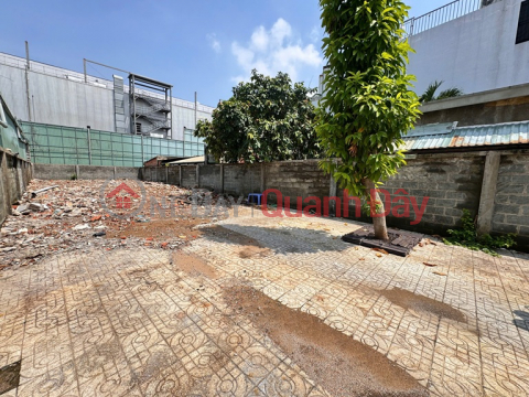 ĐẤT MẶT TIỀN - Cần Bán Nhanh Lô Đất 371,3 m2 Phường Hiệp Bình Chánh, TP Thủ Đức, Hồ Chí Minh _0