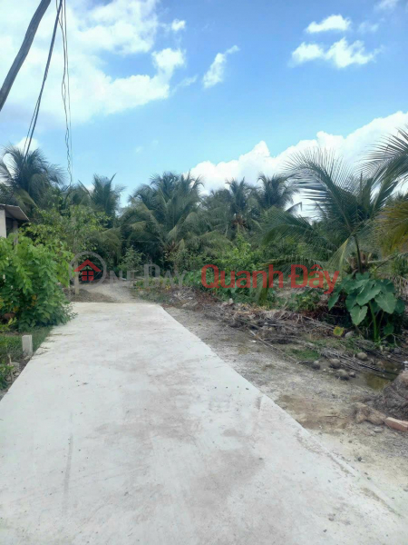 GENERAL FOR SALE Urgently Beautiful Land Lot in Long An Commune, Chau Thanh District, Tien Giang Vietnam, Sales, ₫ 450 Million