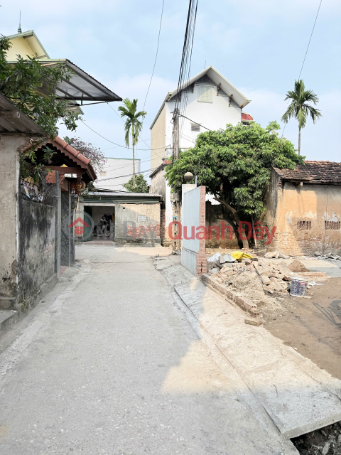 BÁN LÔ ĐẤT ĐẸP 80,1m2 - Đồng Trữ, Phú Nghĩa, Chương Mỹ - Nằm sát khu công nghiệp Phú Nghĩa _0