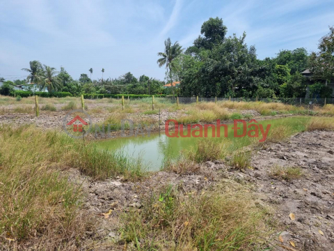 OWNER SELLS 2 frontage land lot, car road, at Phu Xuan 2 hamlet, Phu Ngai Tri commune, Chau Thanh _0