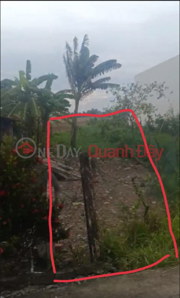 Property Search Vietnam | OneDay | Residential Sales Listings OWNER FOR SELLING FULL BEAUTIFUL RESIDENTIAL LOT OF LAND, Binh Cang 2 Hamlet, Binh Thanh, Thu Thua District, Long An Province