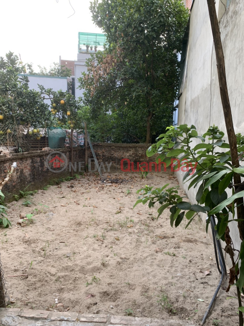 Selling land 39M classic A qua hiep Thanh tri Hanoi _0