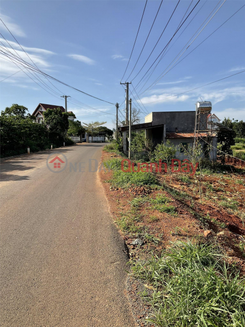 BEAUTIFUL LAND - GOOD PRICE - Land Lot For Sale In Nam Ha Commune, Lam Ha District, Lam Dong _0