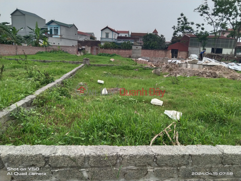 Urgent sale of subdivided land lot Auction area C Ngoc Liep - Quoc Oai 62m2 mt 5.5m ssgd Sales Listings