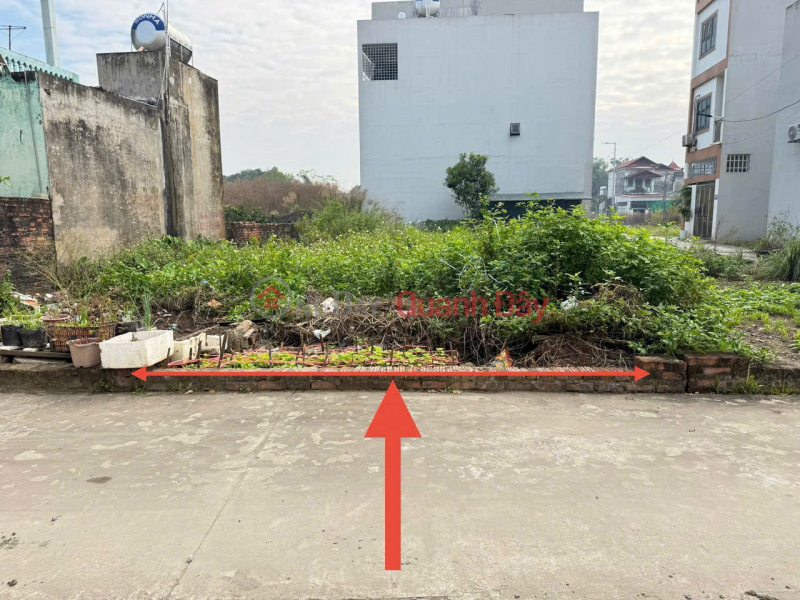 Beautiful land in group 9, Quang Minh town (old),now Ap Tre village, Quang Minh commune. Clear road, cars can avoid Vietnam Sales, đ 3.2 Billion