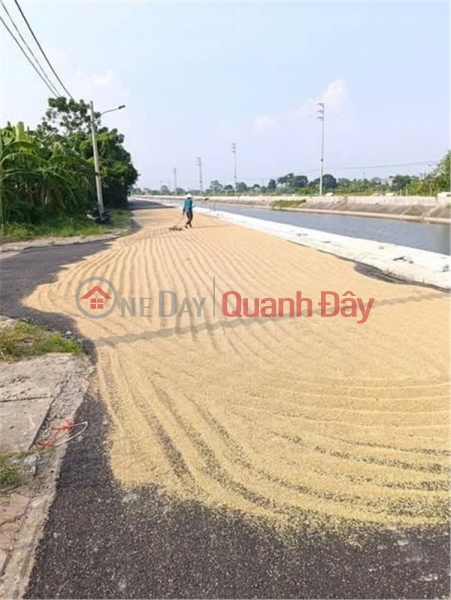Chính Chủ Bán ĐẤT ĐẤU GIÁ Trịnh Xá, TP Phủ Lý, Hà Nam - Mặt Tiền Đường GIÁ TỐT! Niêm yết bán
