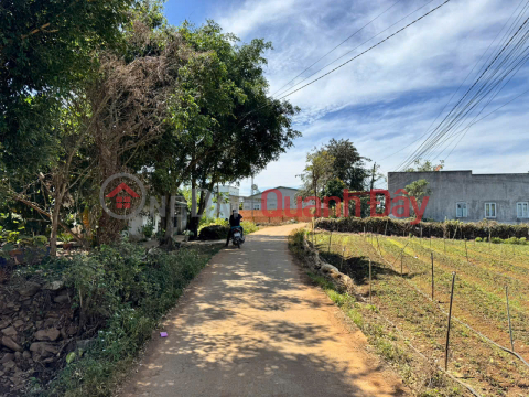 ONLY 1.9 BILLION FOR SALE 239M2 OF LAND NEAR NATIONAL HIGHWAY 20 LIEN HIEP DUC TRONG LAM DONG _0