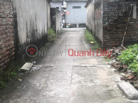 Owner needs to sell 53.6m2 Dong Tru Village, Dong Hoi Commune, Dong Anh 7c motorway, public price 53.6 million\/m2 for investment or living _0